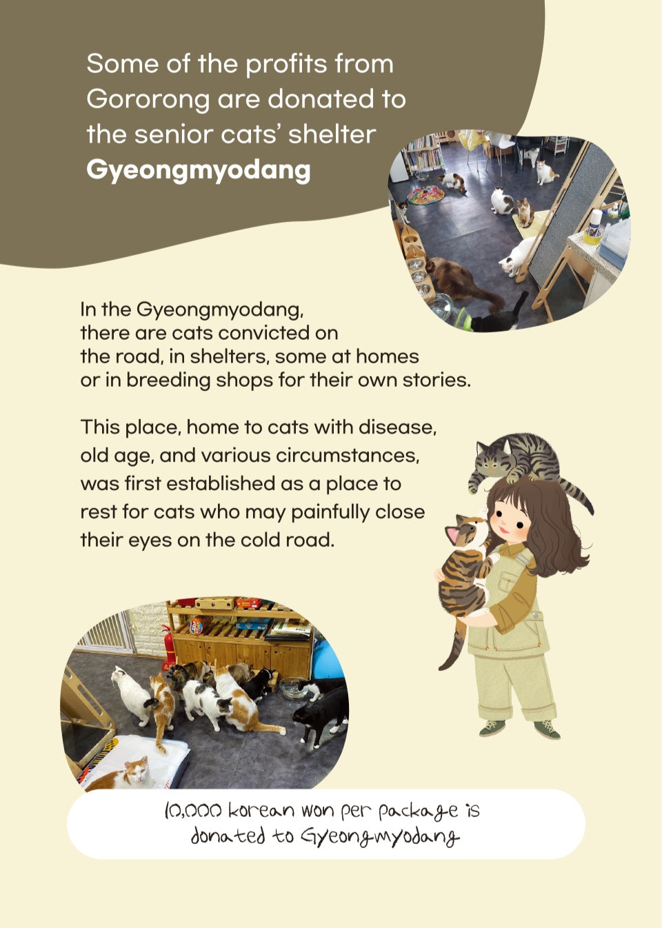 Gororong Premium Catnip Teabag 13EA for Indoor and Outdoor Cat and Kitten, Strong, Infused with High Potency Cat Nip, Best for Encouraging Cats Activity, and Exercise as Cat Toys